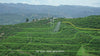 DJI T100